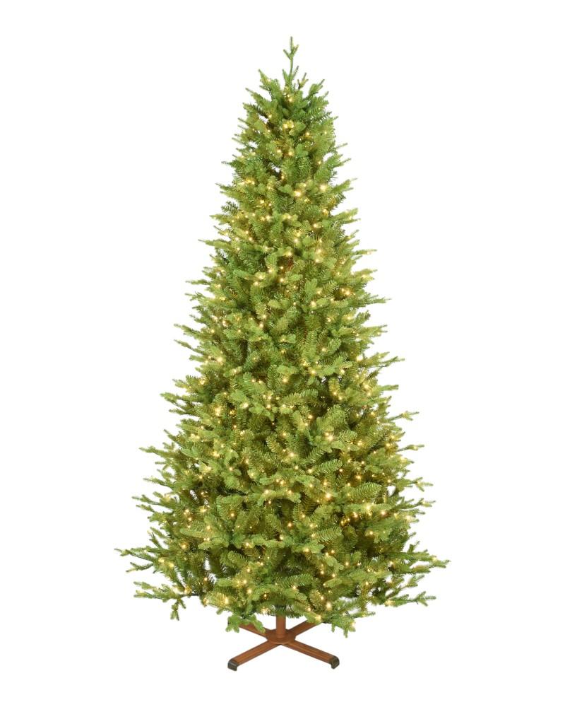 7.5' Balsam Fir With 950 Color Changing Starry LED Lights