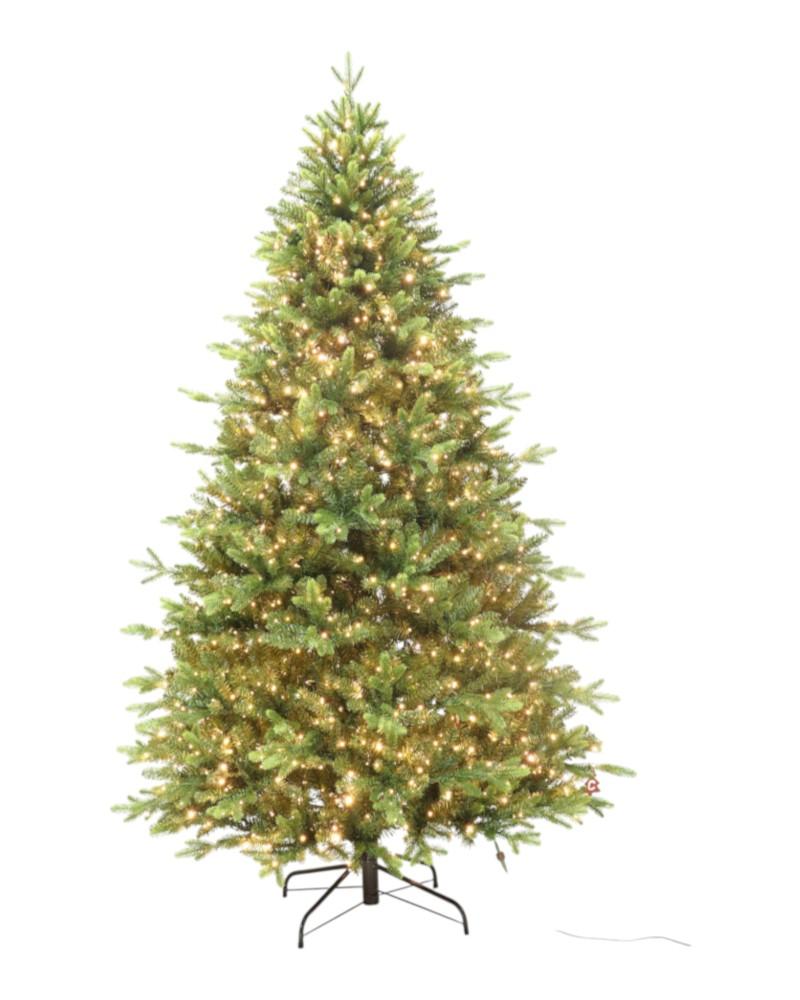 6.5' Eagal Point With 1500 Dual Color Lights