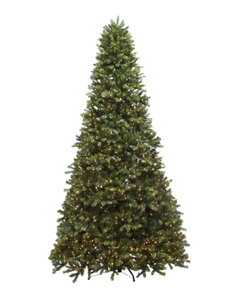 10' Laguardia fir With 2300 Color Changing LED Lights