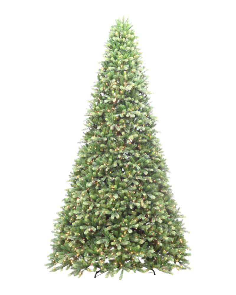 12' Laguardia Fir With 2400 Color Changing LED Lights
