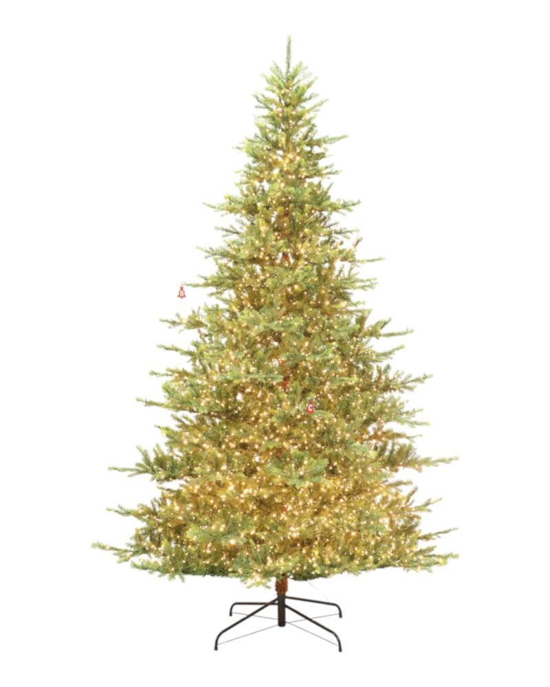 9' Hooper Fir With 5000 Dual Color Lights