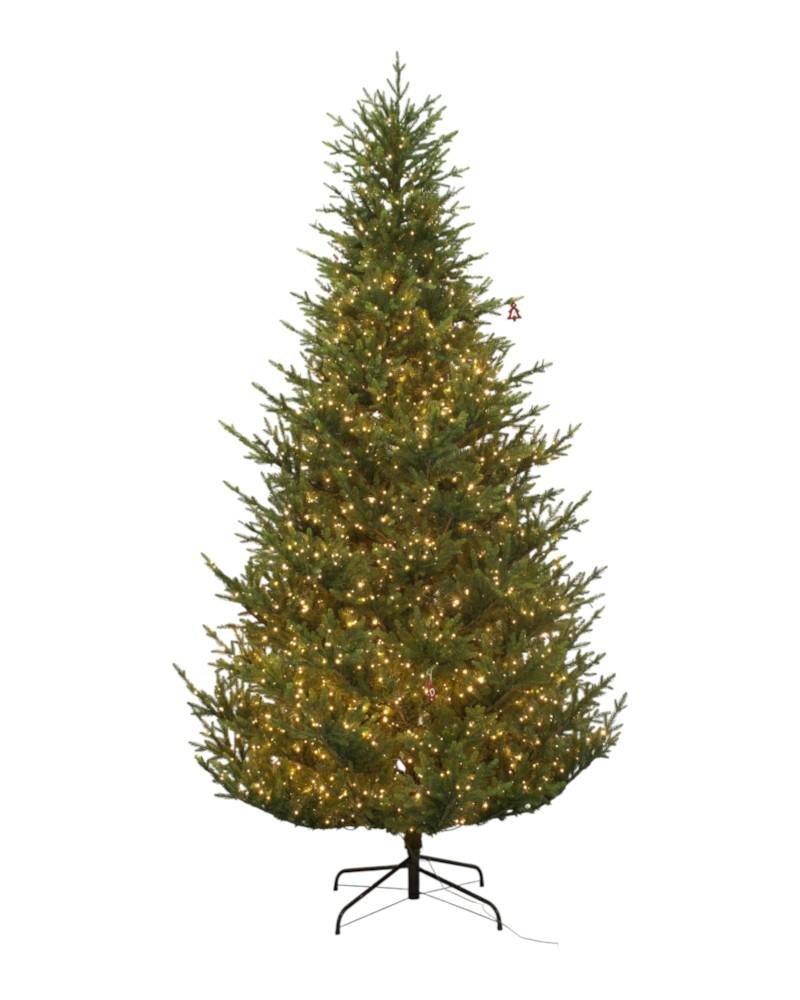 9' Alaskan Fir With 3000 Dual Color Lights