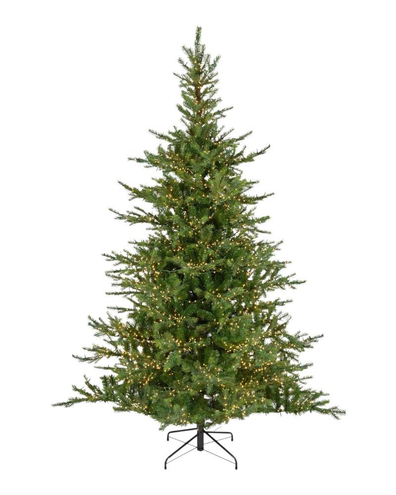 7.5' Grandis Fir With 650 Warm White Micro LED Lights