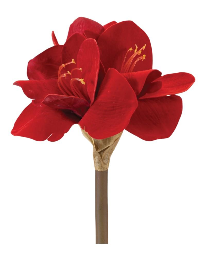 Amaryllis Stem 23.5" Red
